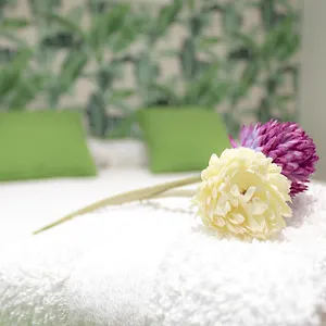 https://zenete-terral-malaga.hotelsinnerja.org